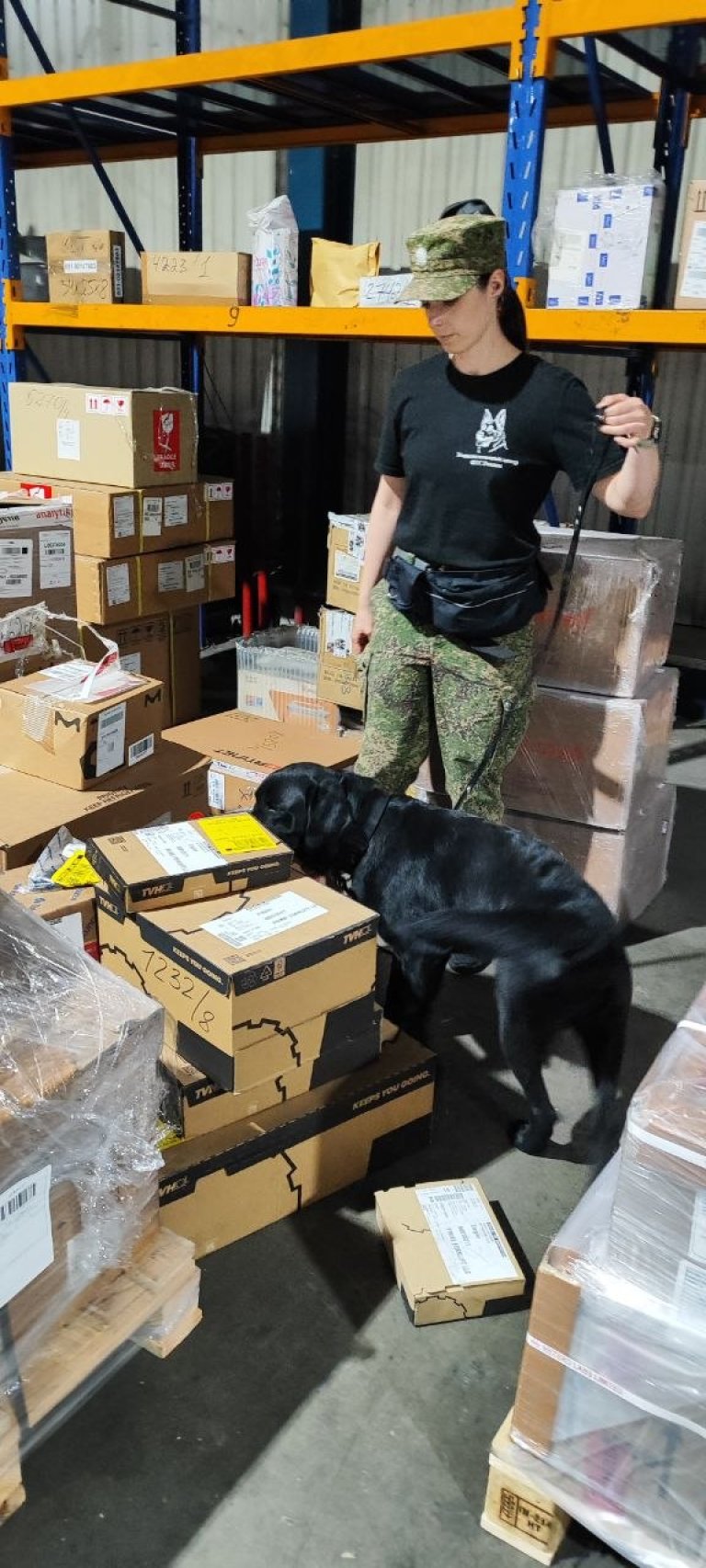 Gallery image 2